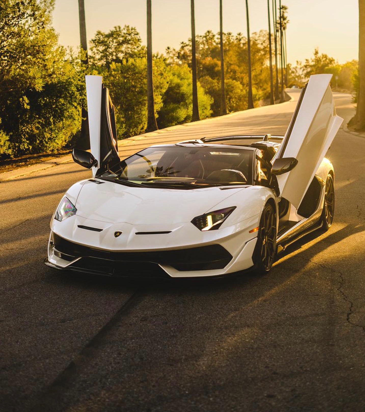 2020 Lamborghini Aventador SVJ Roadster, 4/14