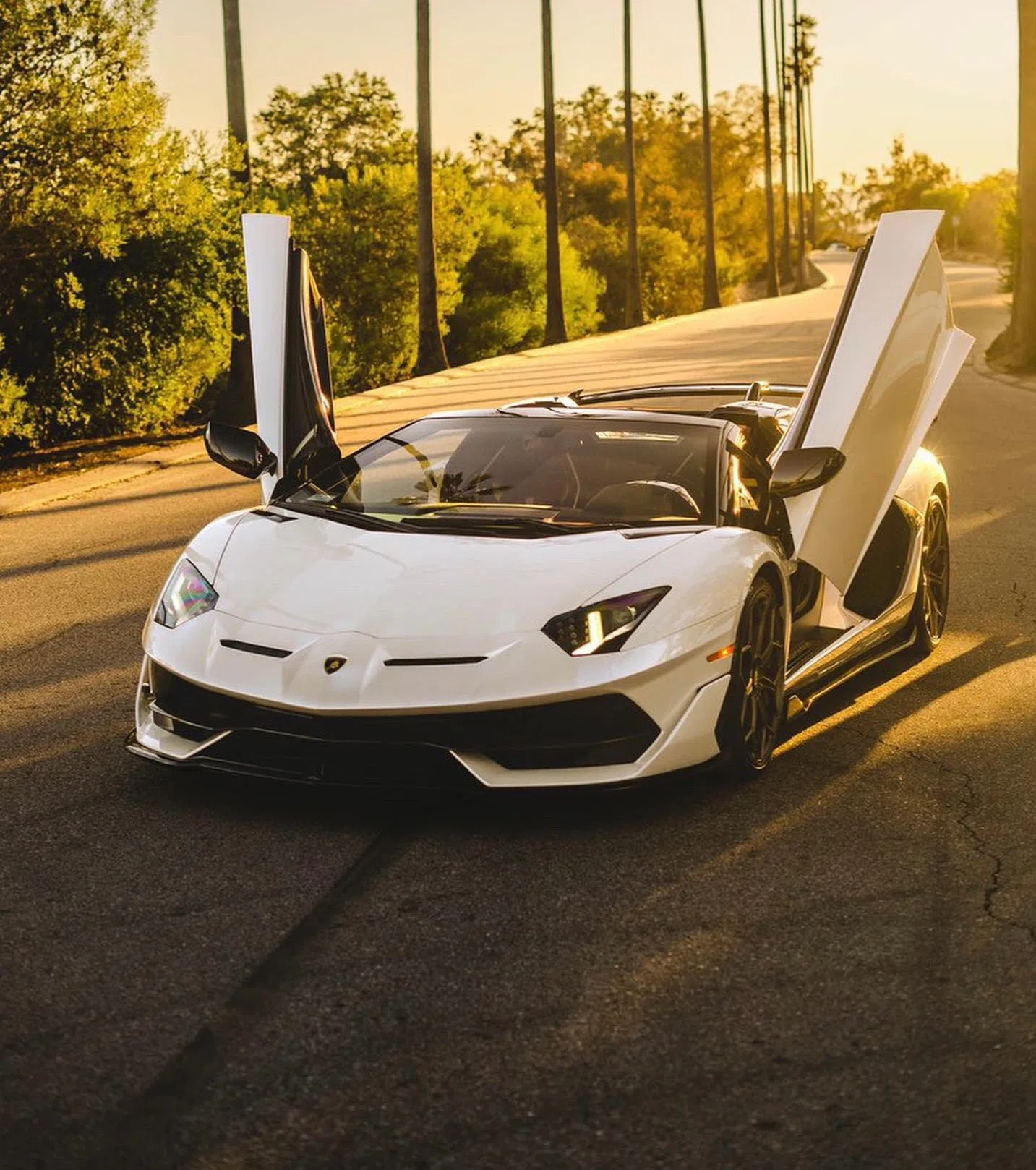 2020 Lamborghini Aventador SVJ Roadster for sale, exterior, White