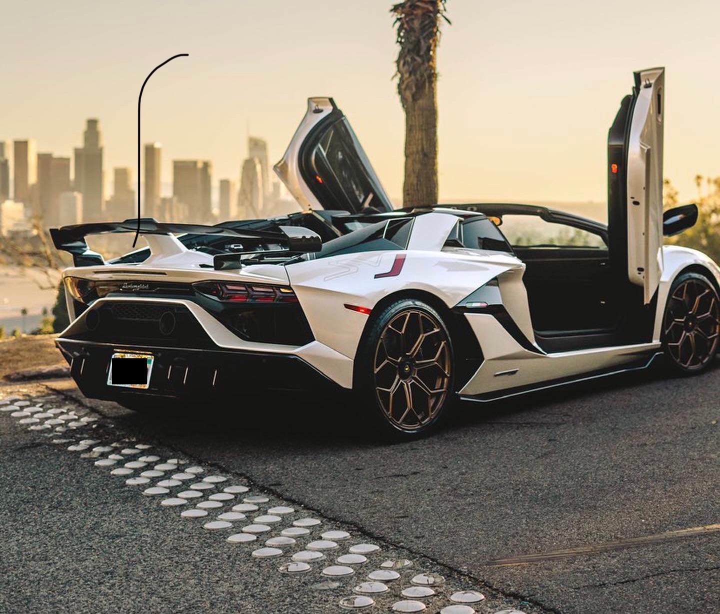 2020 Lamborghini Aventador SVJ Roadster, 6/14