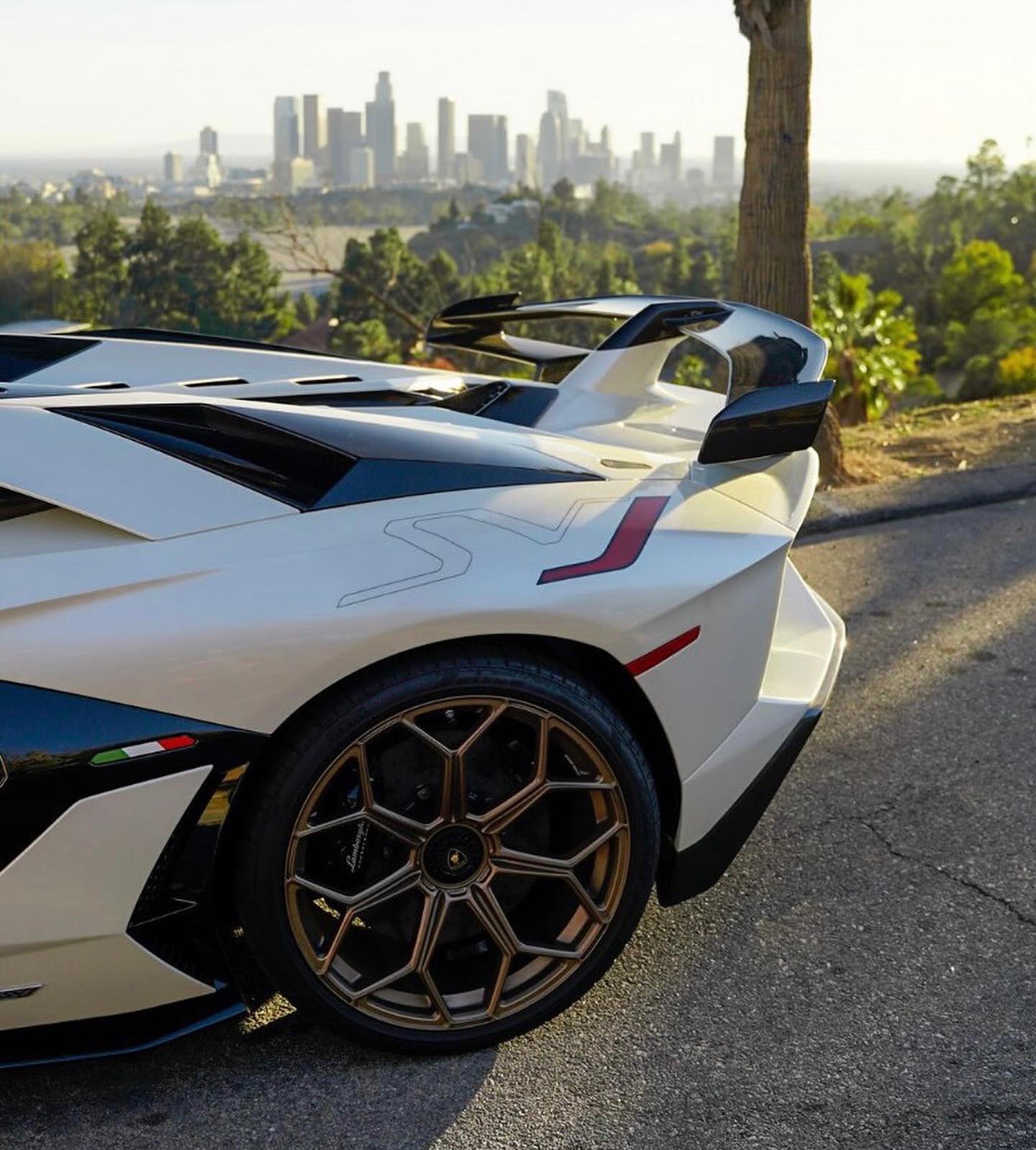 2020 Lamborghini Aventador SVJ Roadster, 7/14