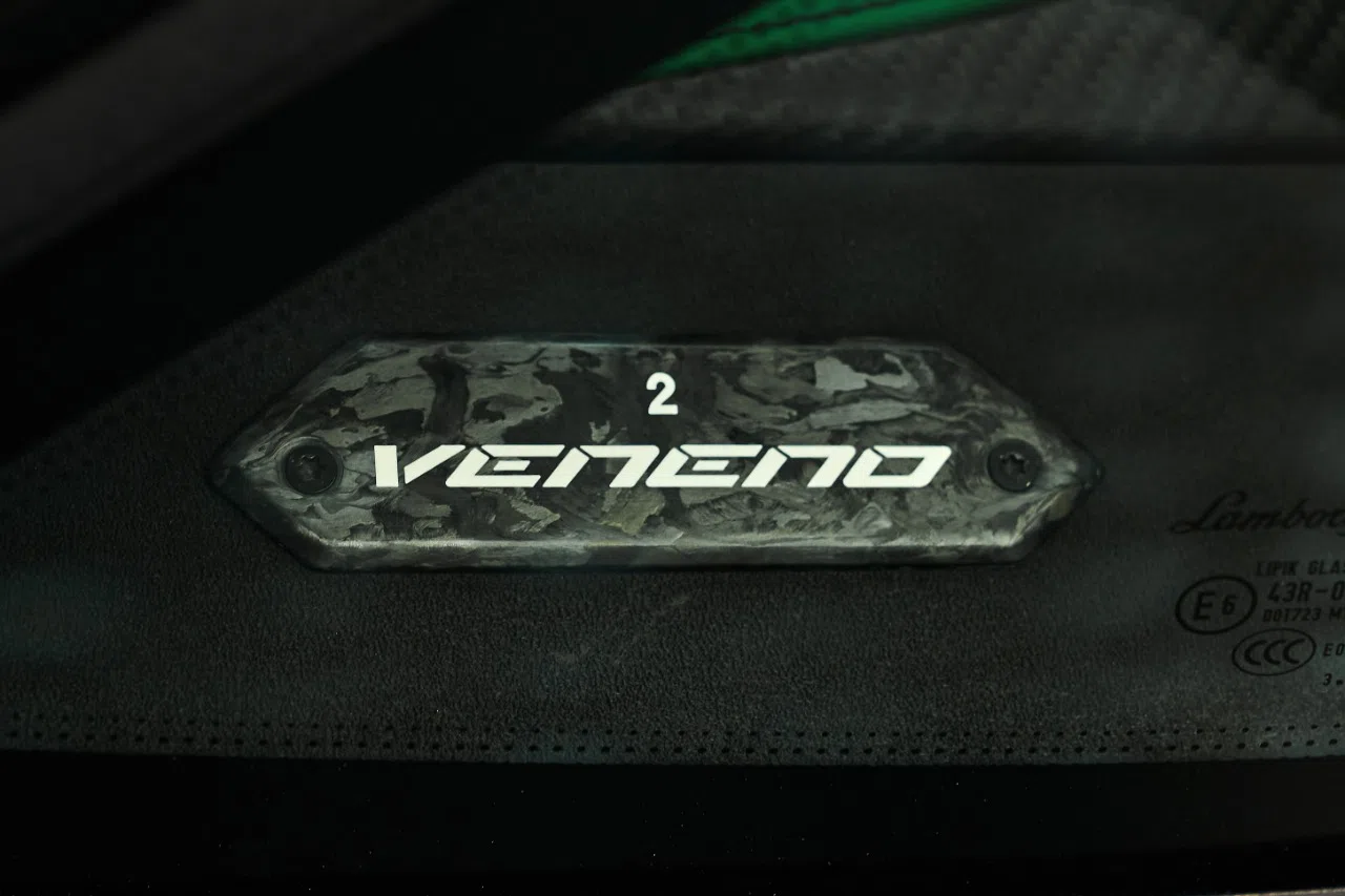 2015 Lamborghini VENENO ROADSTER interior, door sill