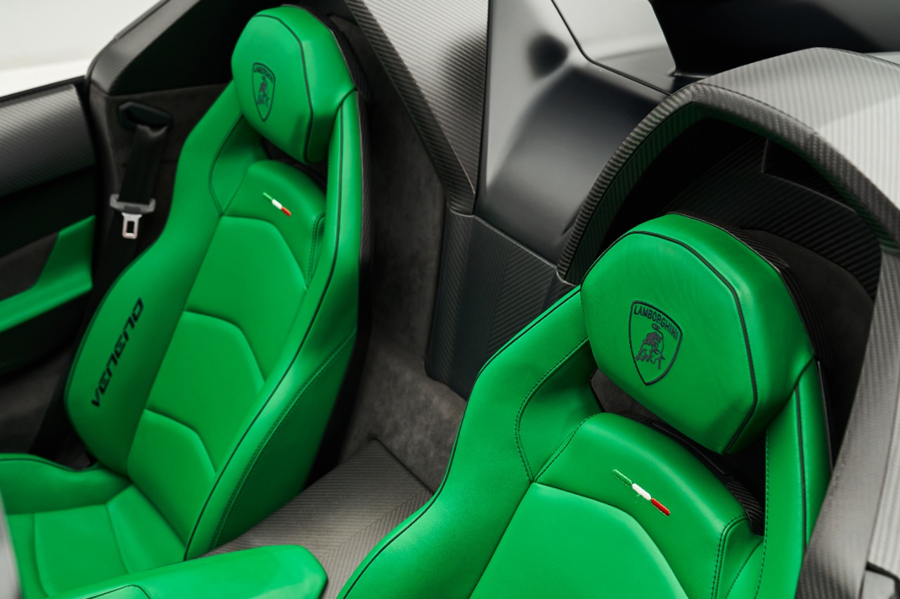 2015 Lamborghini VENENO ROADSTER, 15/20