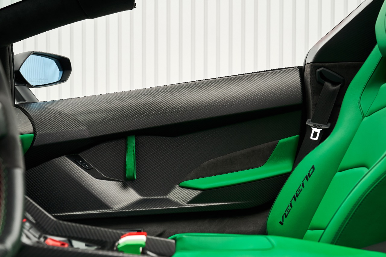 2015 Lamborghini VENENO ROADSTER, 16/20