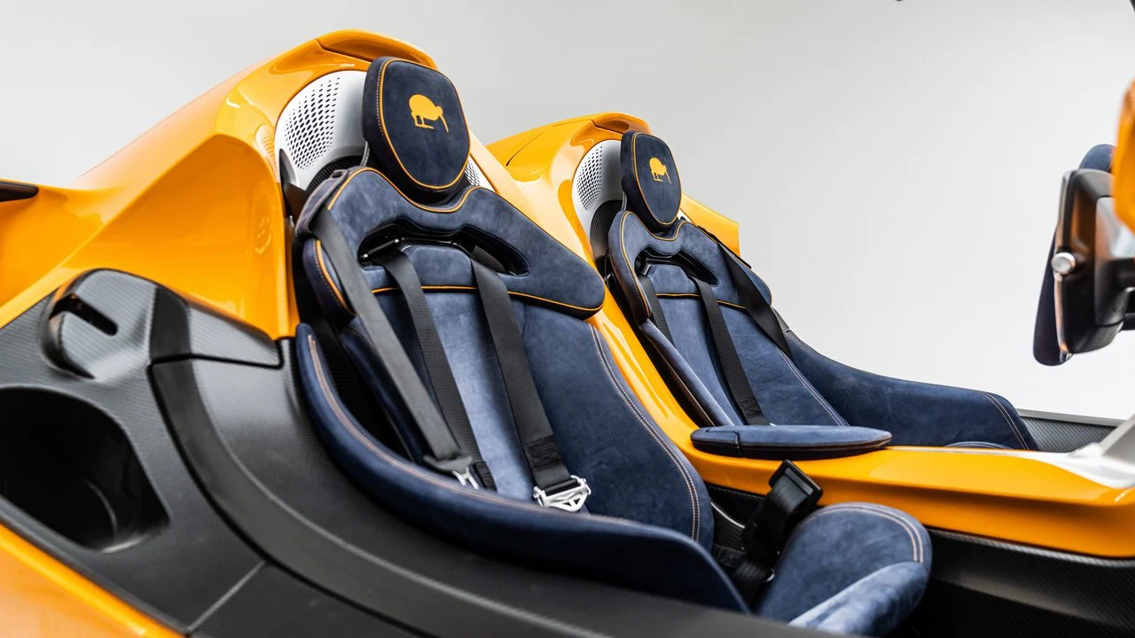 2021 McLaren Elva Roadster, 13/18
