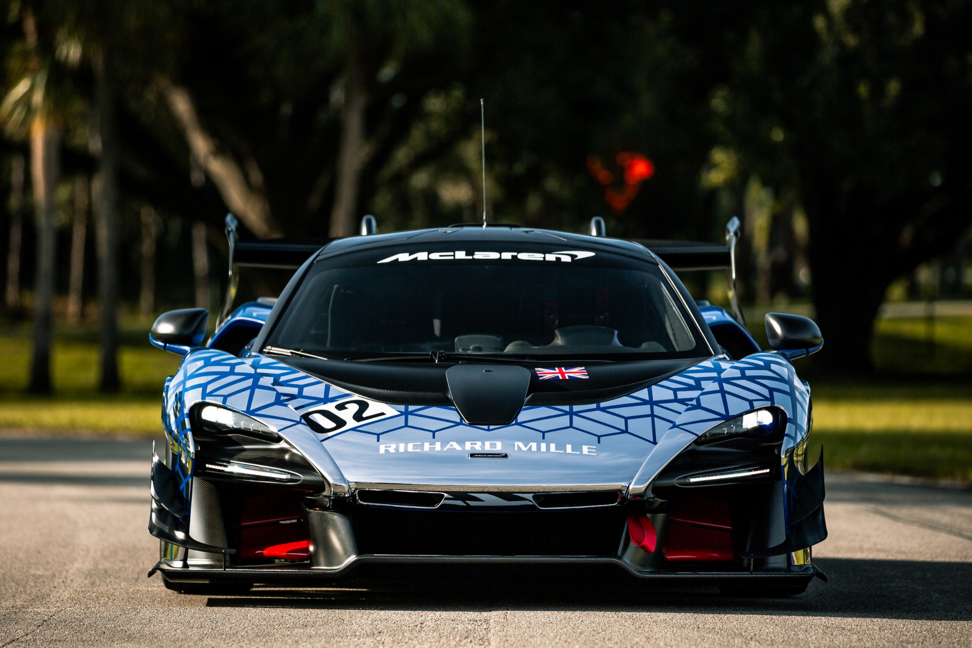2020 McLaren Senna GTR, 3/13