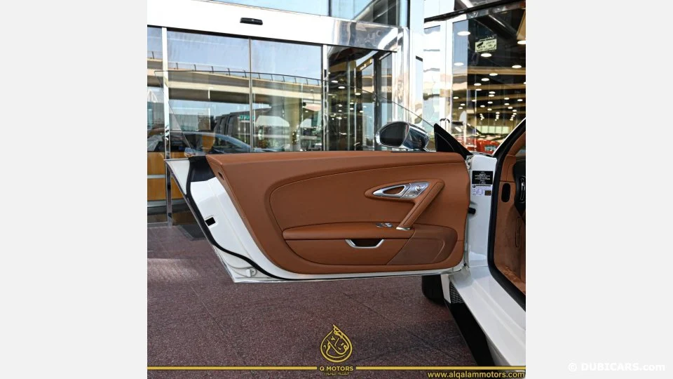 2010 Bugatti Veyron 16.4, 4/13