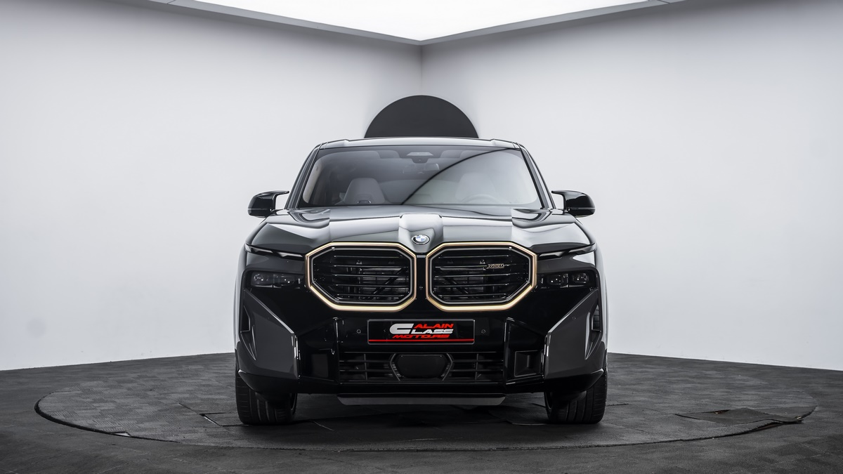 2023 BMW XM, 13/13