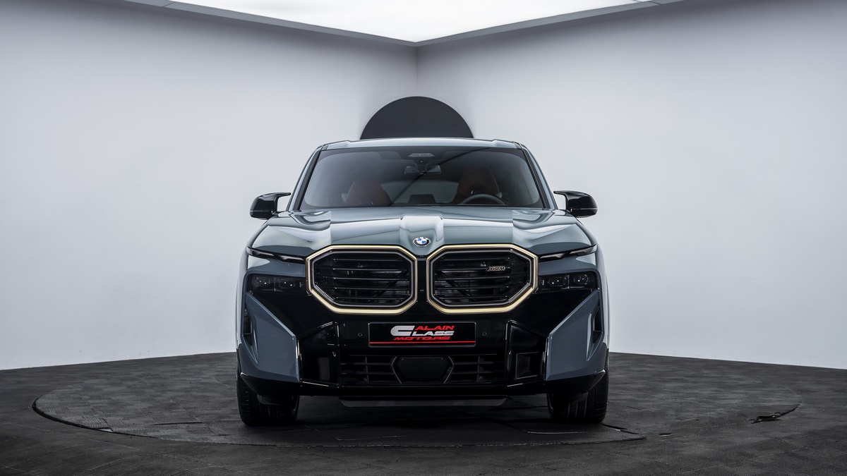 2023 BMW XM, 17/17