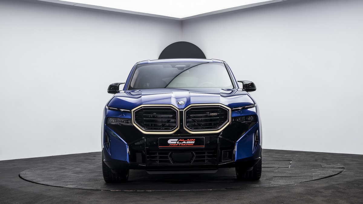 2023 BMW XM, 14/14