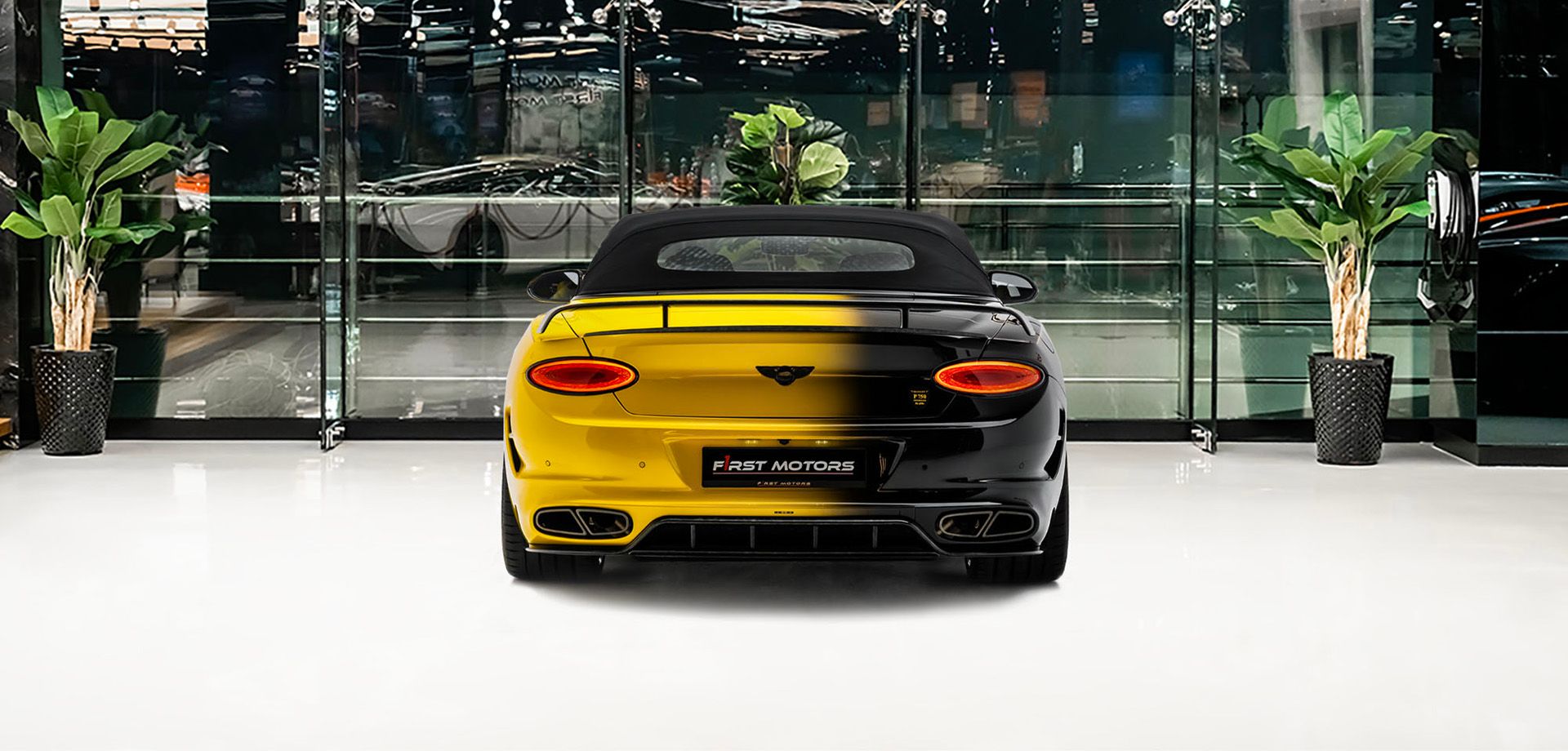 2022 Mansory Continental GTC Vitesse, 19/20