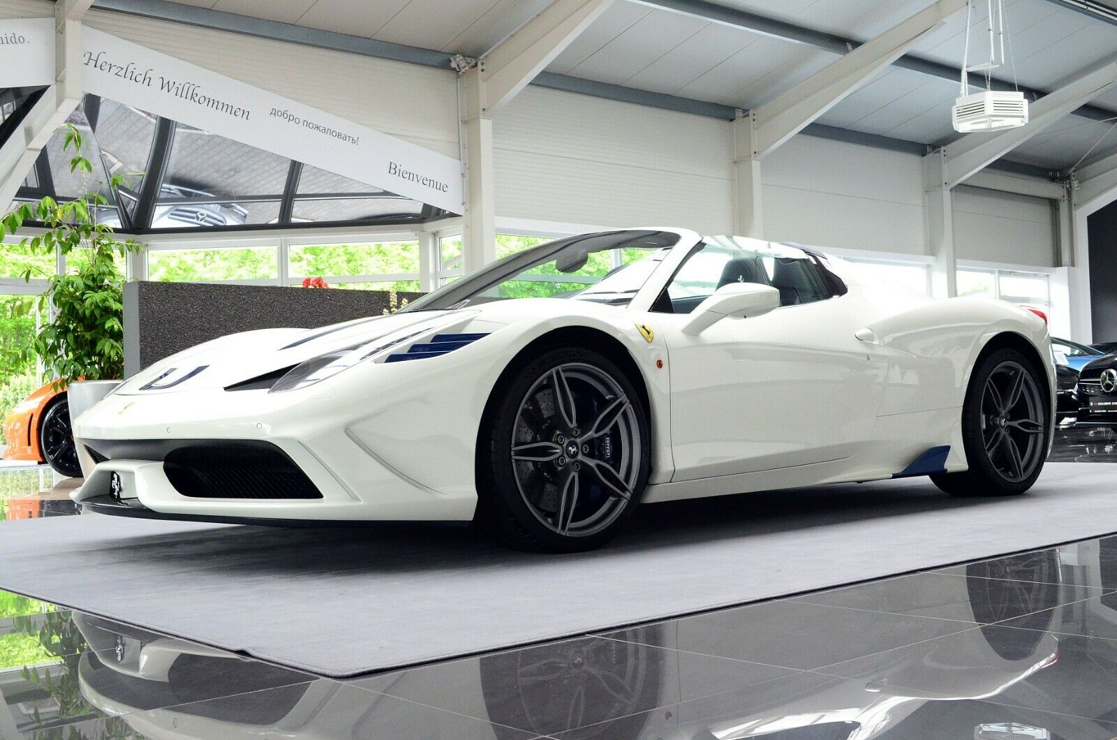 2015 Ferrari 458 Speciale Aperta, 8/20