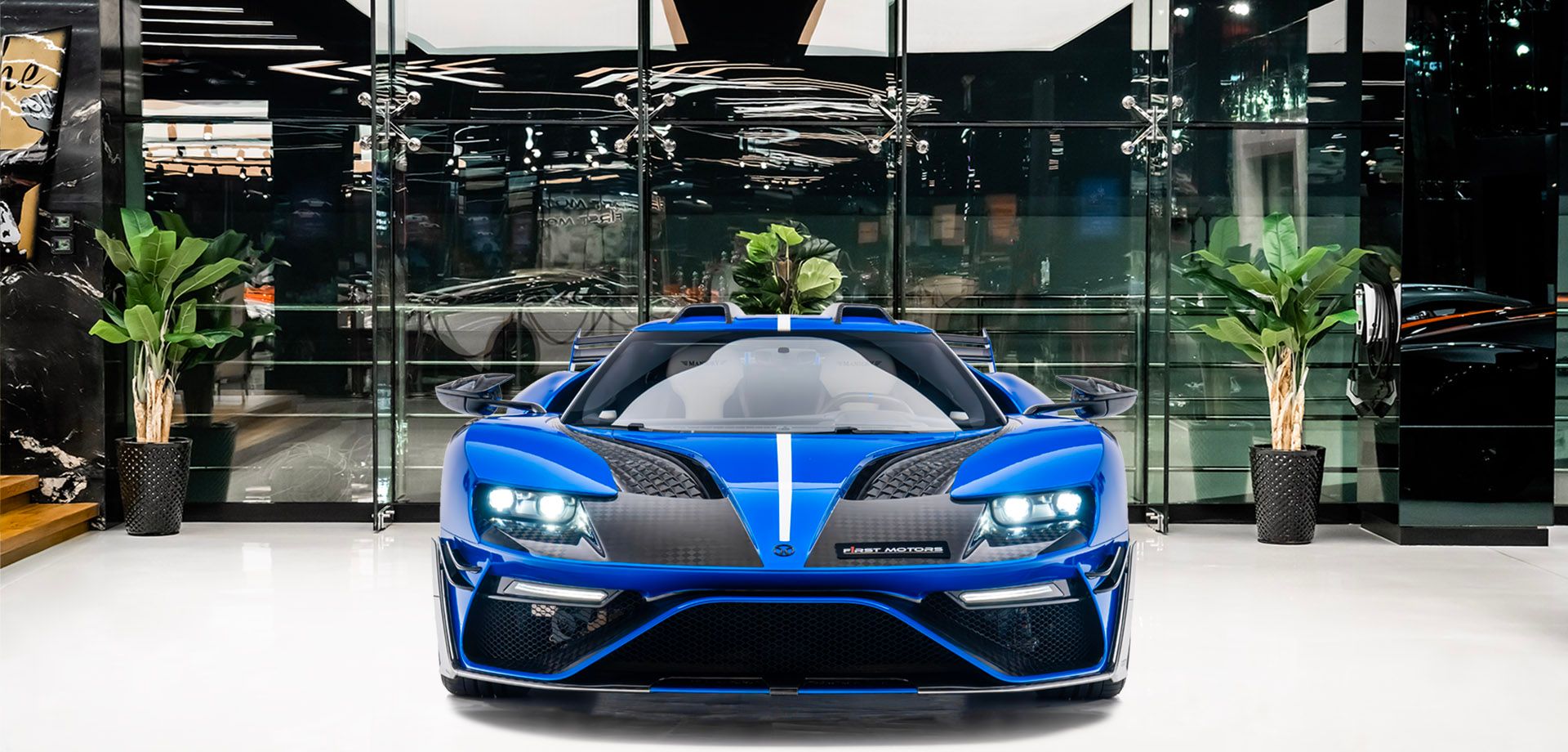 2018 Mansory Ford GT Le Mansory, 2/16