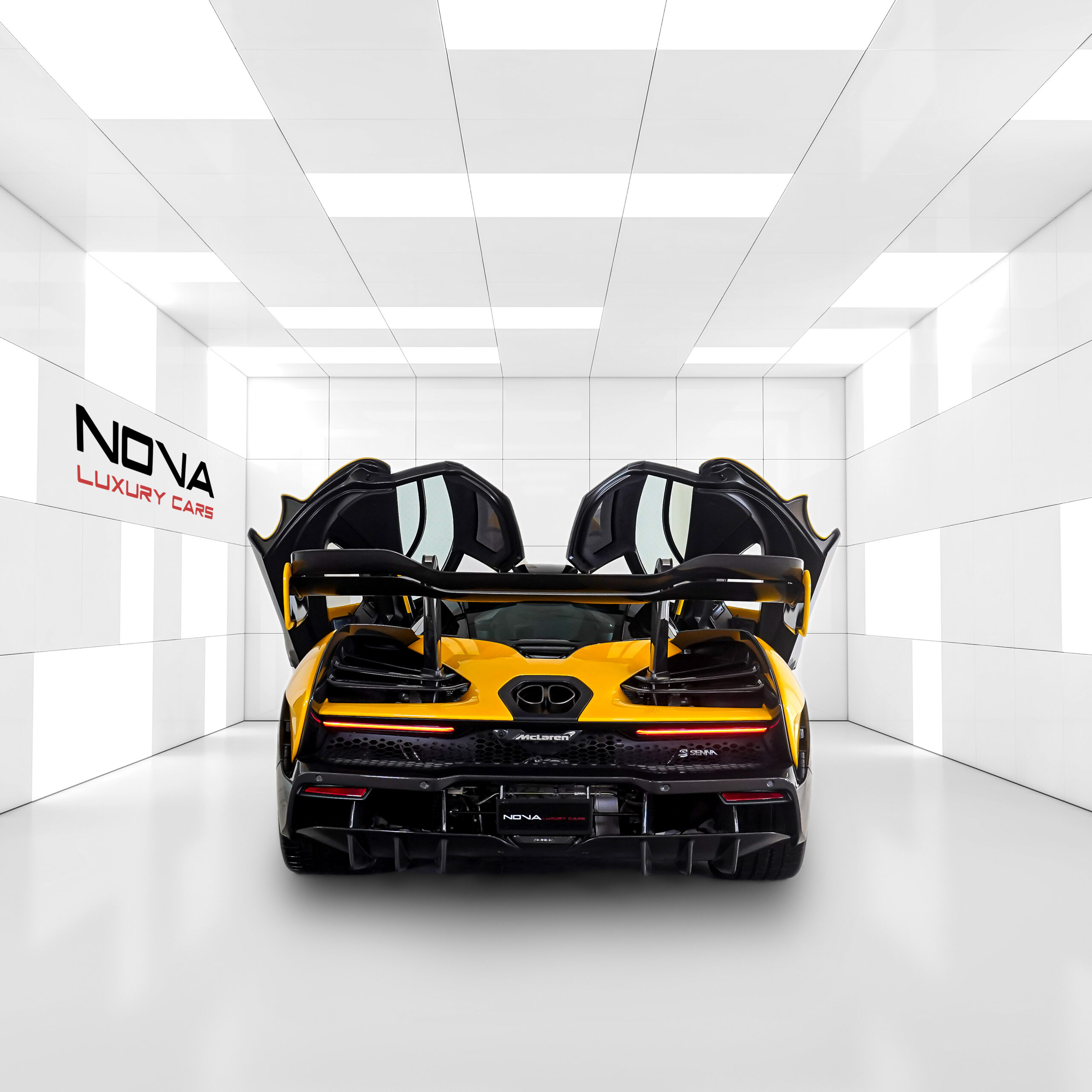2019 McLaren Senna, 11/18