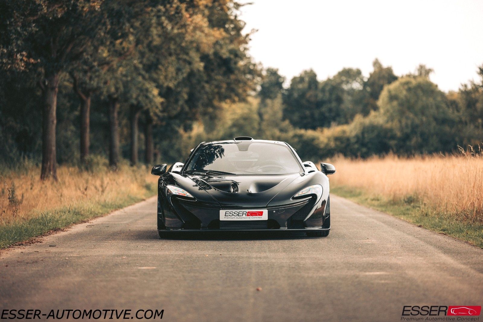 2016 McLaren P1, 2/24
