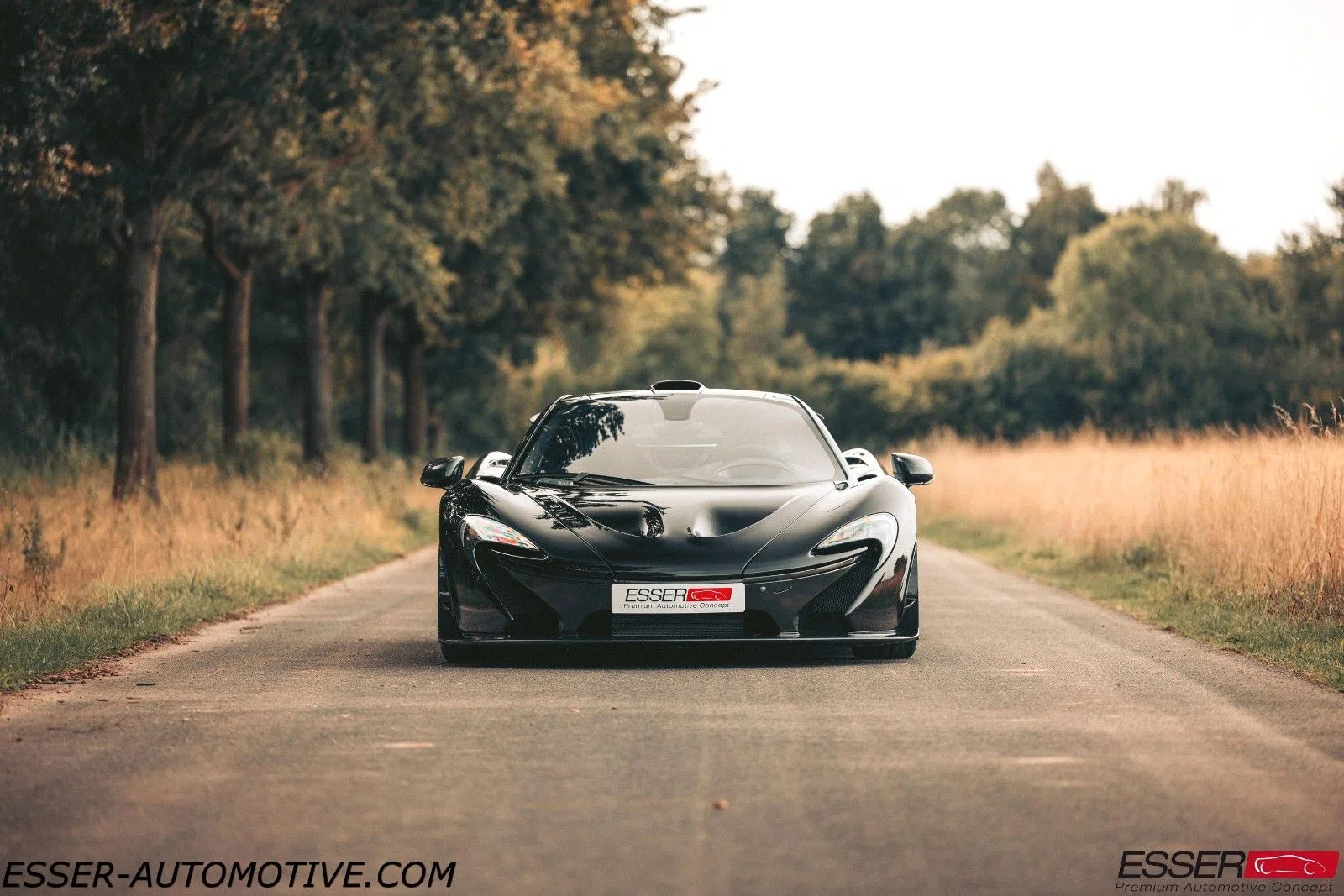 2016 McLaren P1 for sale, exterior