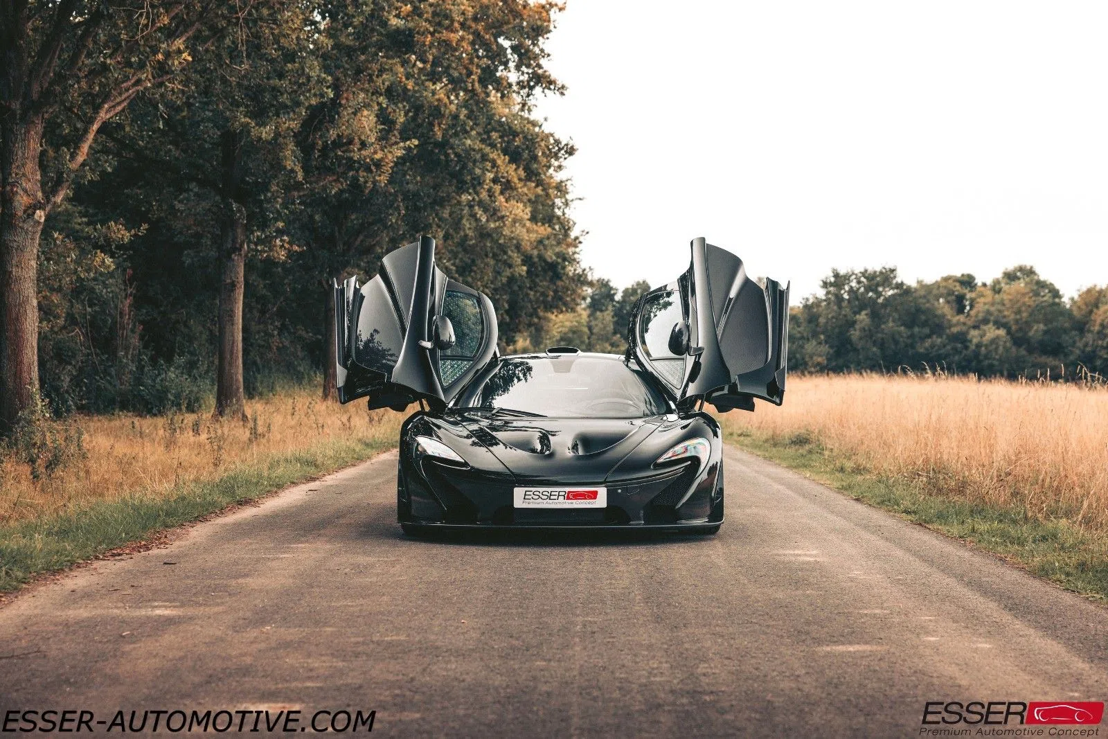 2016 McLaren P1 for sale, exterior