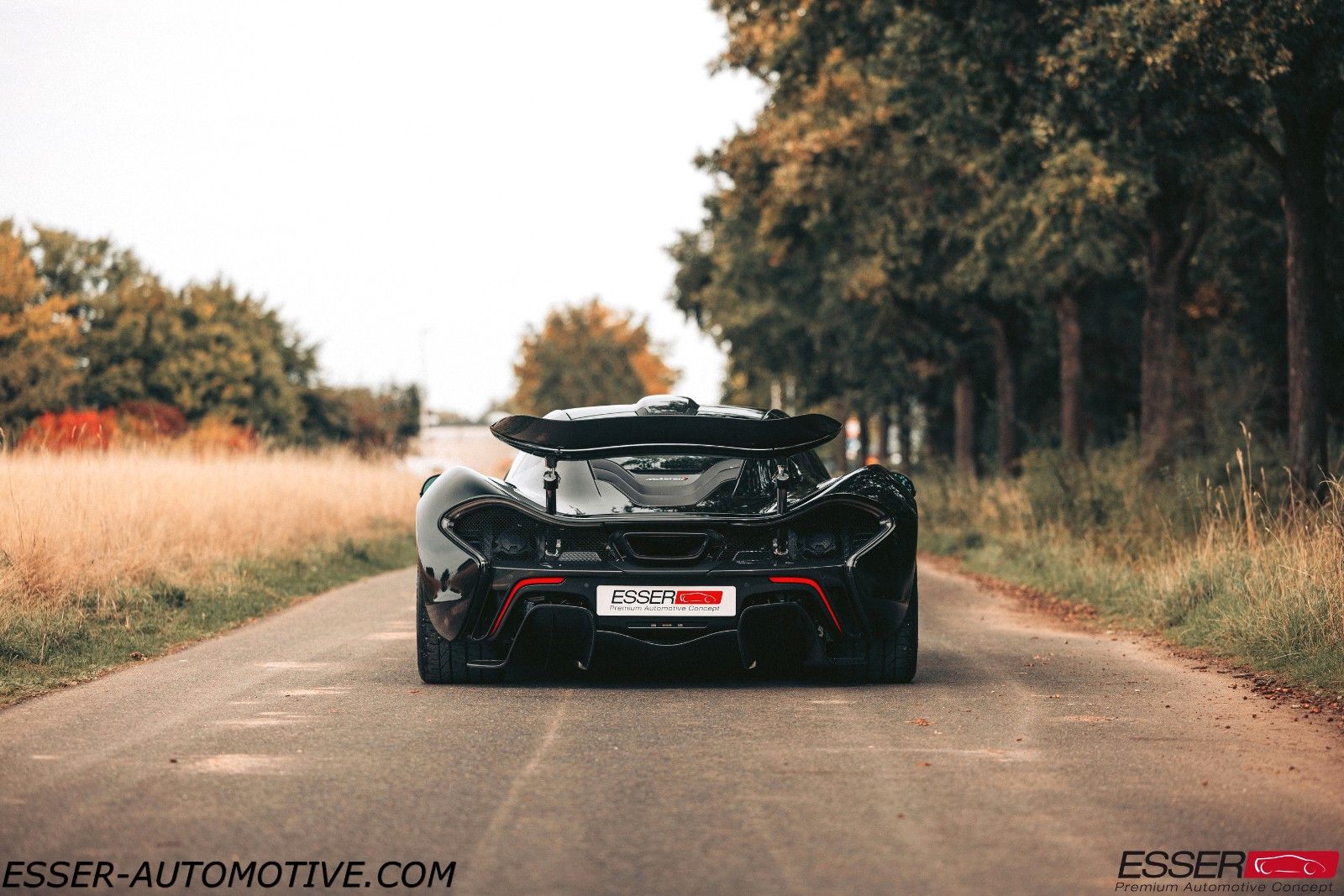 2016 McLaren P1, 4/24