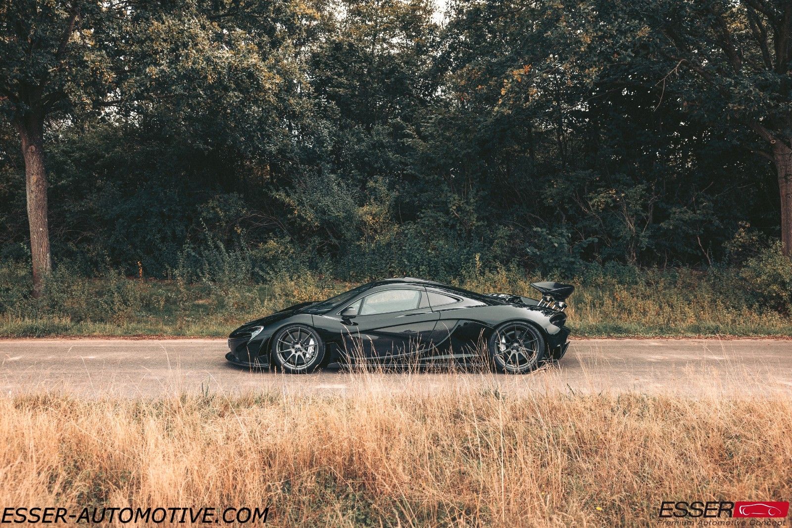 2016 McLaren P1, 7/24