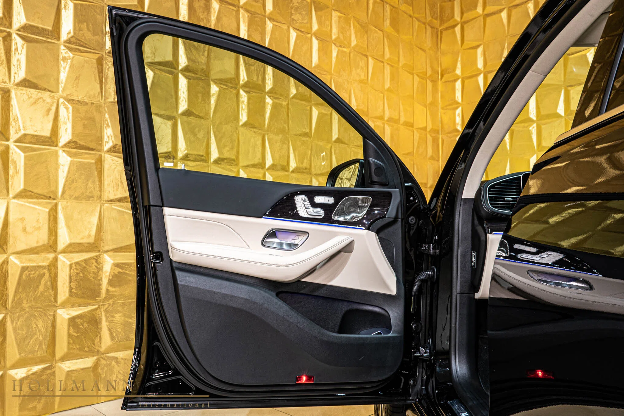 2023 Mercedes-Benz GLS 400d 4MATIC interior, door panel
