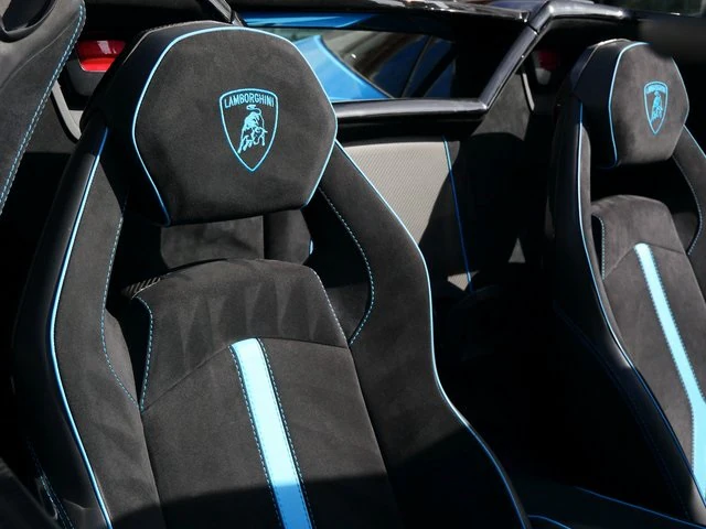 2017 Lamborghini Aventador Roadster, 18/20