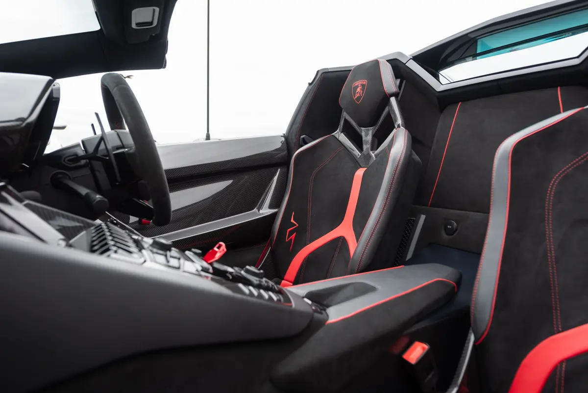 2016 Lamborghini Aventador SuperVeloce Roadster, 19/20