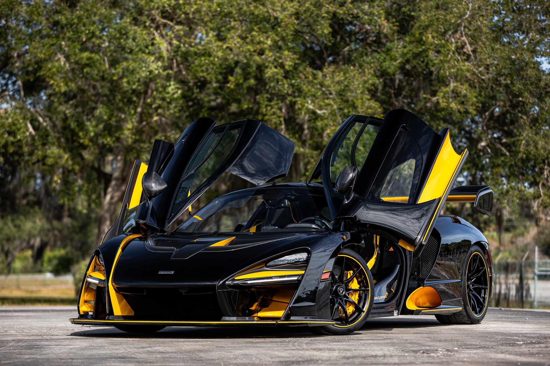 2019 McLaren Senna