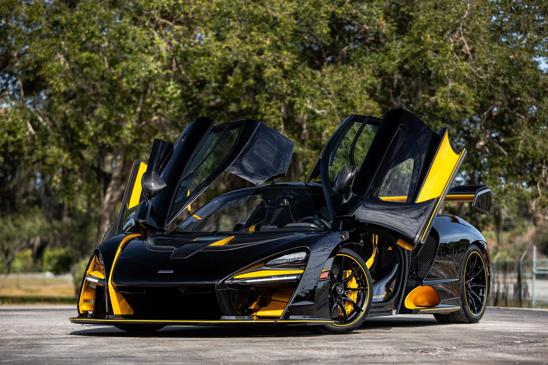 2019 McLaren Senna