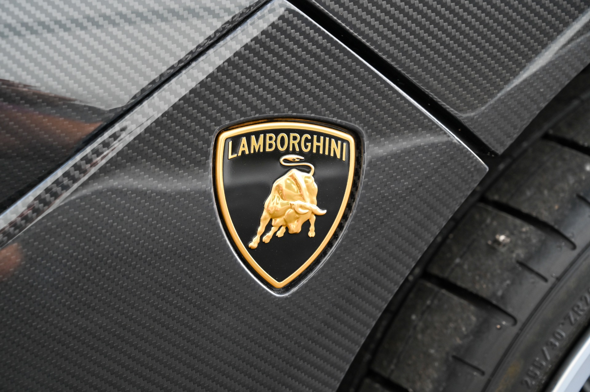 2017 Lamborghini Centenario Roadster, 14/20