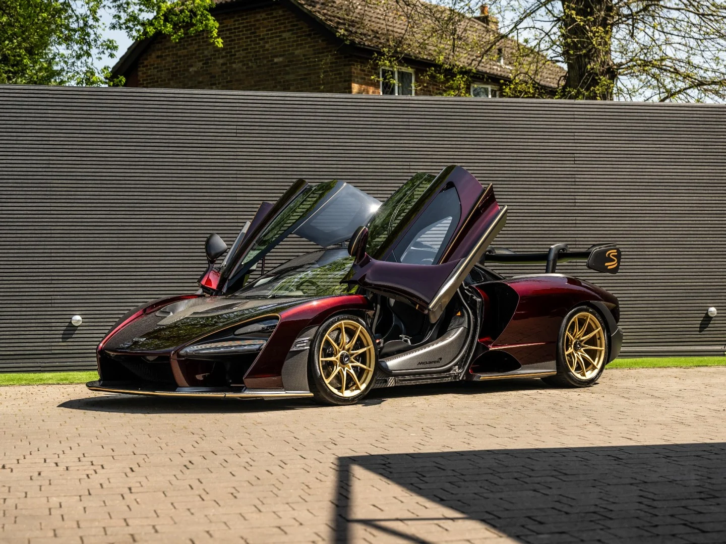 2019 McLaren Senna, 4/20