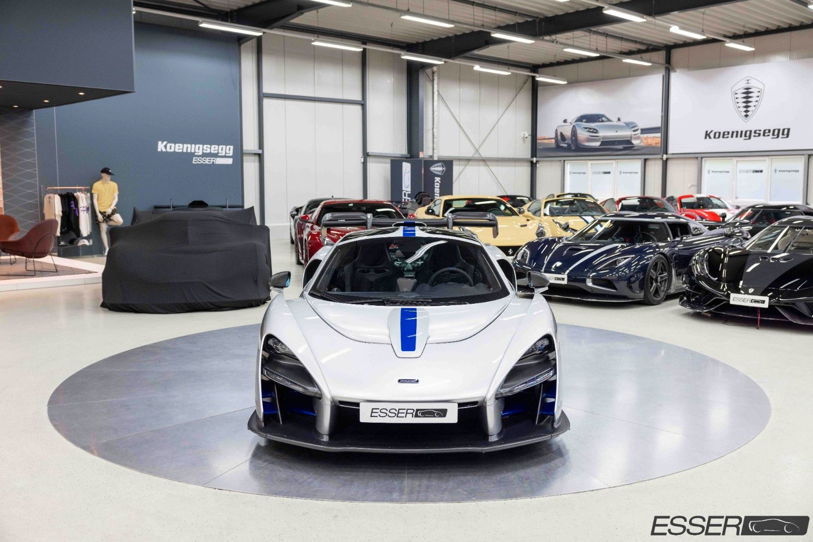 2018 McLaren Senna, 11/19
