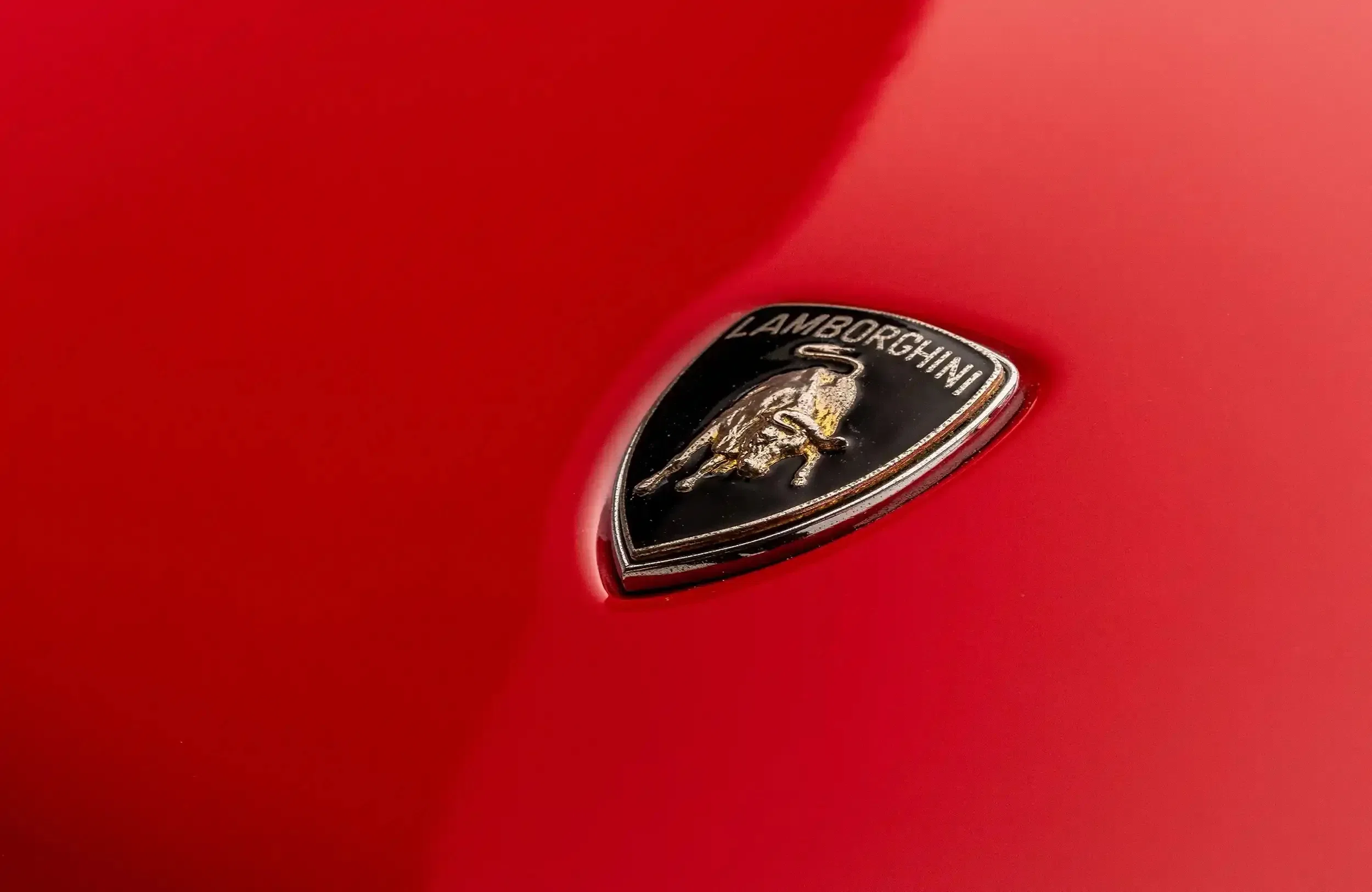 1988 Lamborghini Countach 25th Anniversary, detail