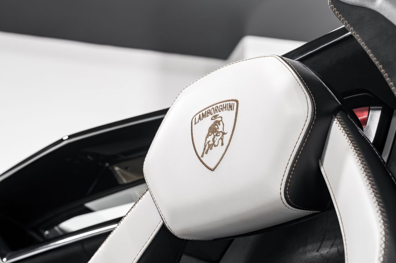 2020 Lamborghini Aventador SVJ Roadster, 15/20