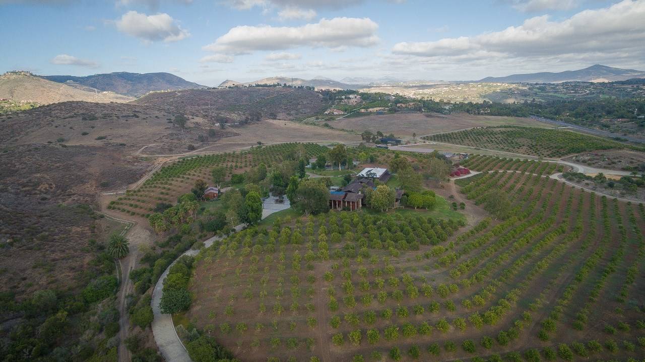 MidCentury Masterpiece with Arthur Elrod Interiors Luxury Pulse Real