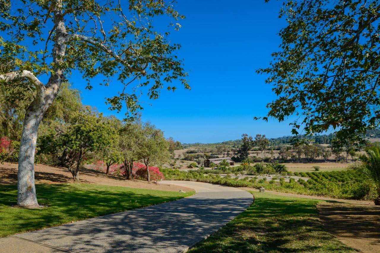 MidCentury Masterpiece with Arthur Elrod Interiors Luxury Pulse Real